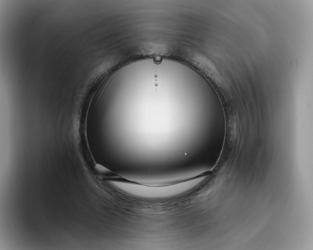 X0000094200538200711091221