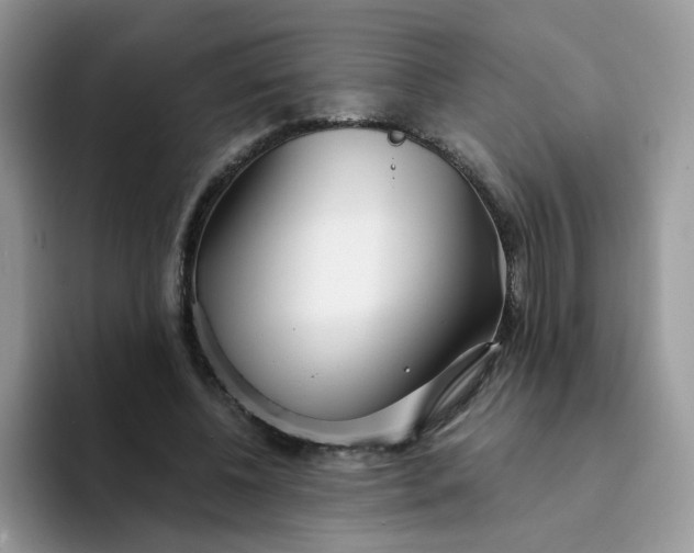 X0000094200540200711091221