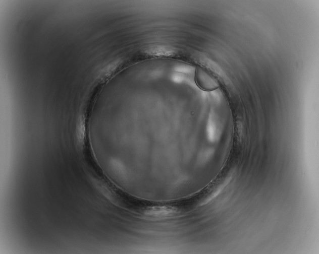 X0000094200541200711091221