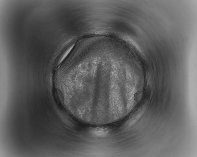 X0000094200542200711091221