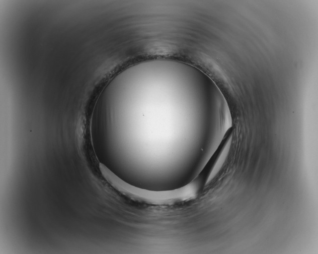 X0000094200544200711091221