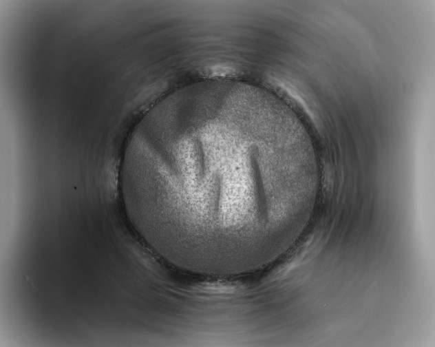 X0000094200545200711091221