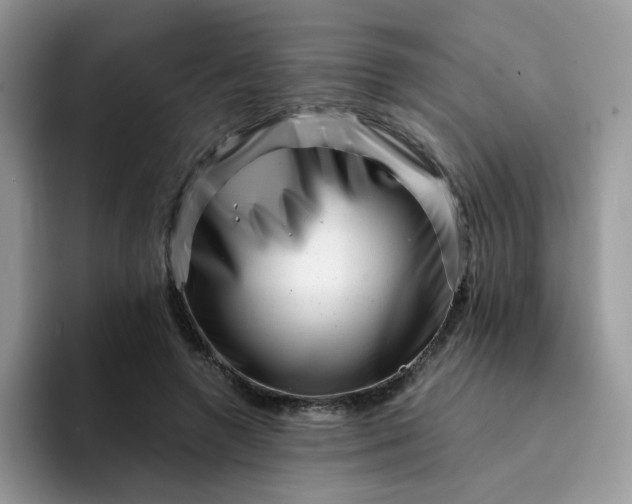 X0000094200546200711091221