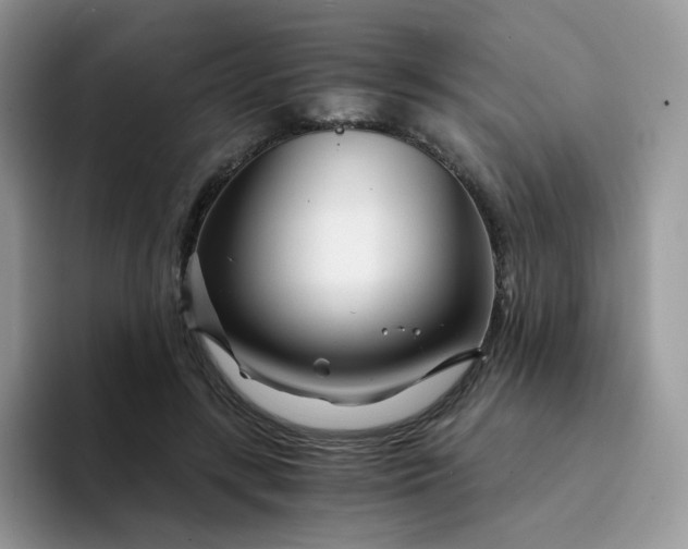 X0000094200547200711091221