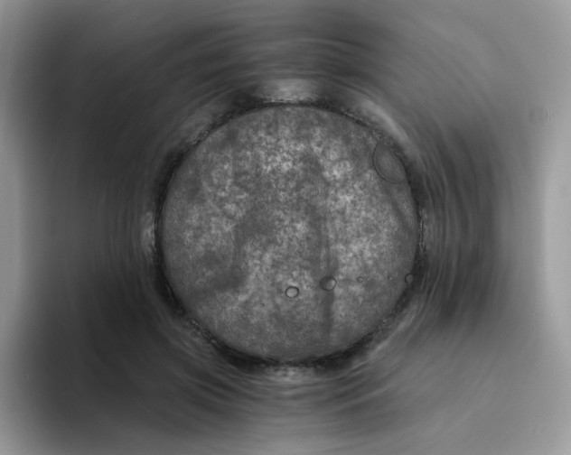 X0000094200549200711091221