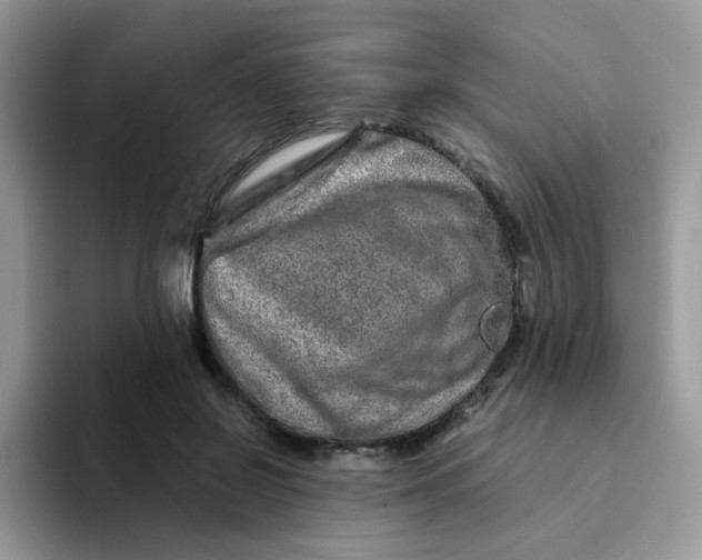 X0000094200550200711091221