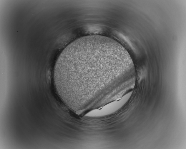 X0000094200551200711091221