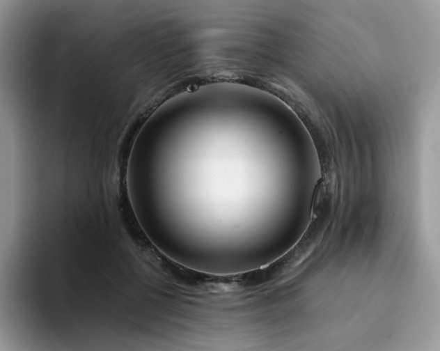 X0000094200552200711091221