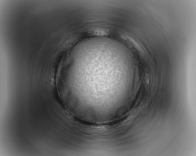 X0000094200553200711091221