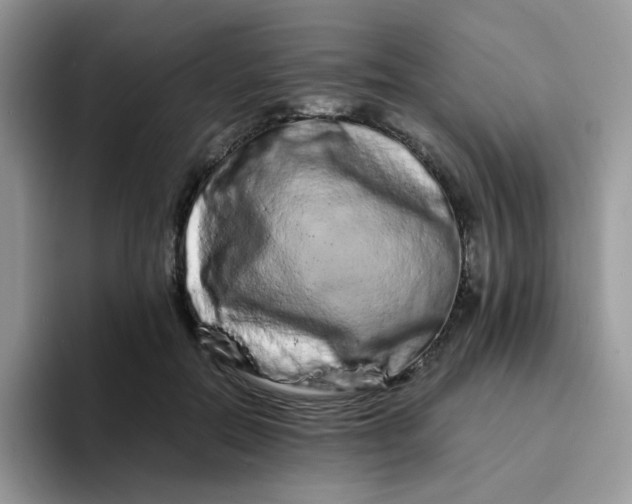 X0000094200554200711091221