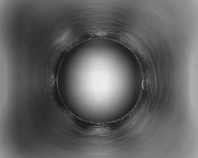 X0000094200555200711091221