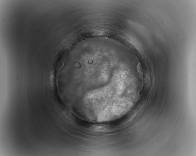 X0000094200557200711091221