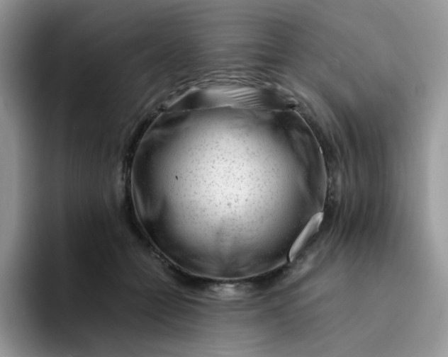 X0000094200558200711091221