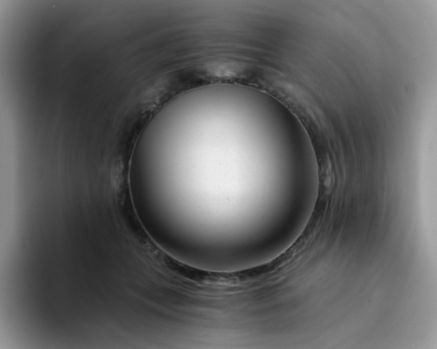 X0000094200559200711091221