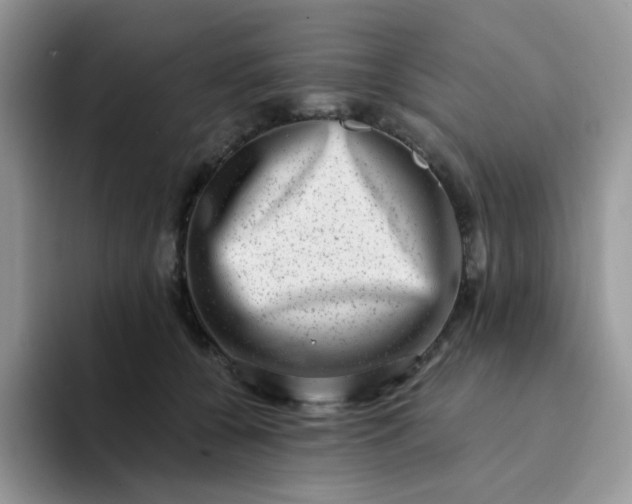 X0000094200560200711091221