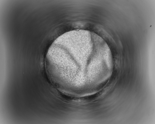 X0000094200561200711091221