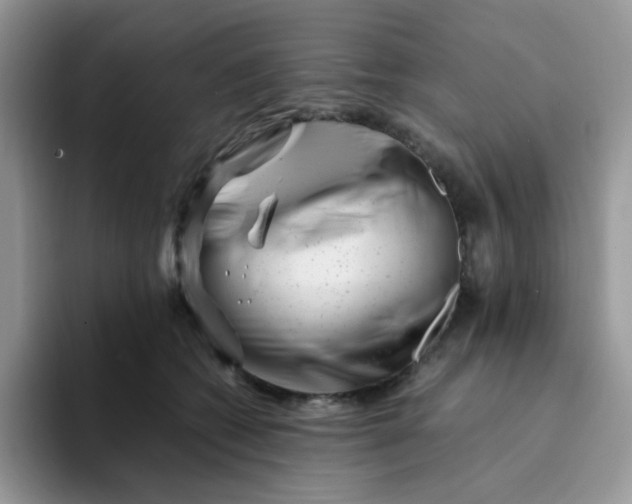 X0000094200562200711091221