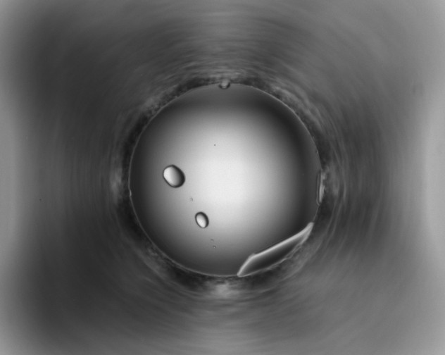 X0000094200564200711091221