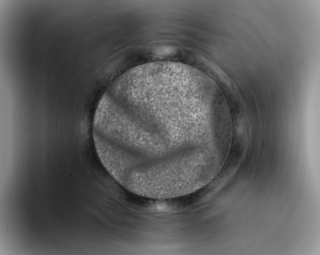 X0000094200565200711091221