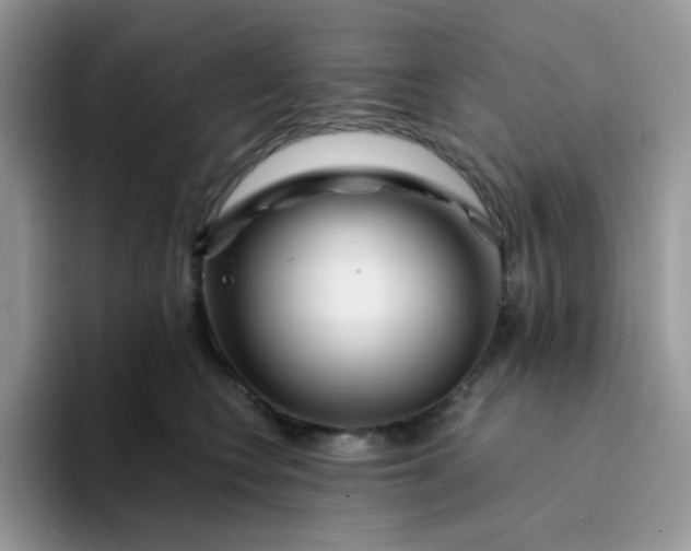 X0000094200566200711091221