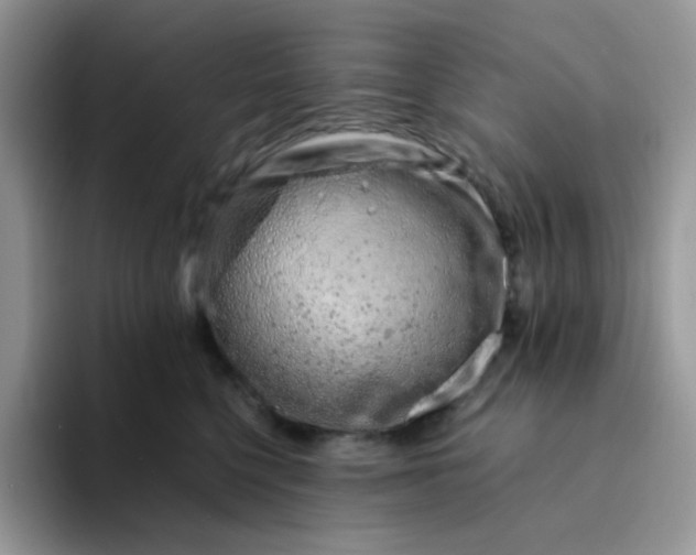 X0000094200568200711091221