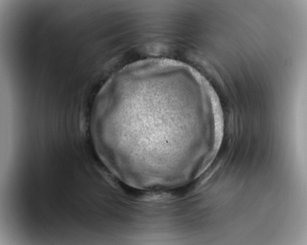 X0000094200569200711091221