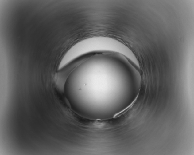 X0000094200570200711091221