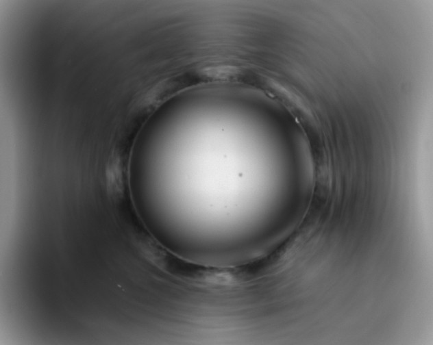 X0000094200572200711091221