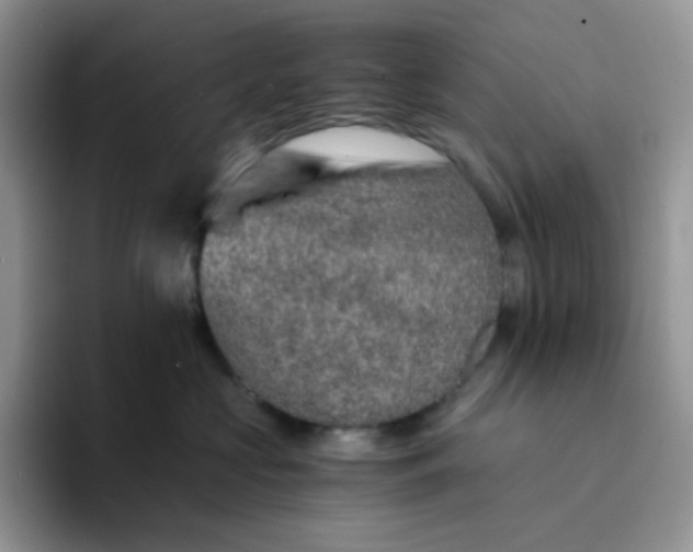 X0000094200573200711091221