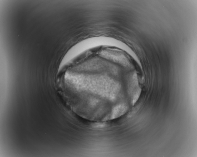 X0000094200574200711091221