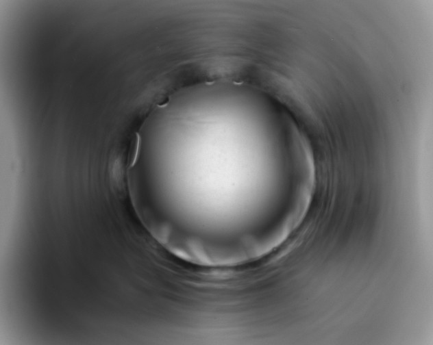 X0000094200575200711091221