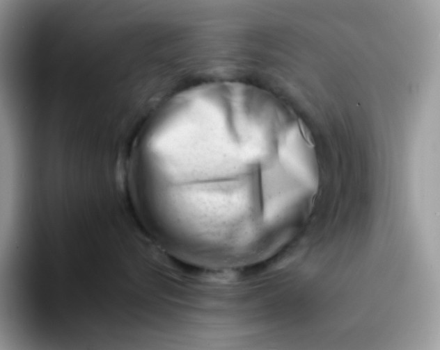 X0000094200576200711091221