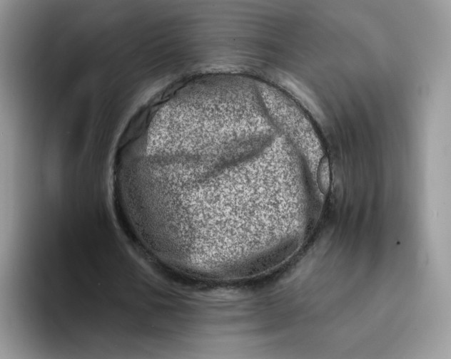 X0000094200578200711091221