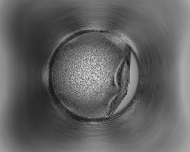 X0000094200580200711091221