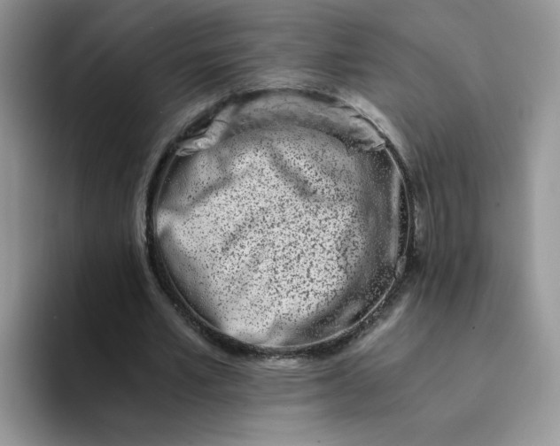 X0000094200581200711091221