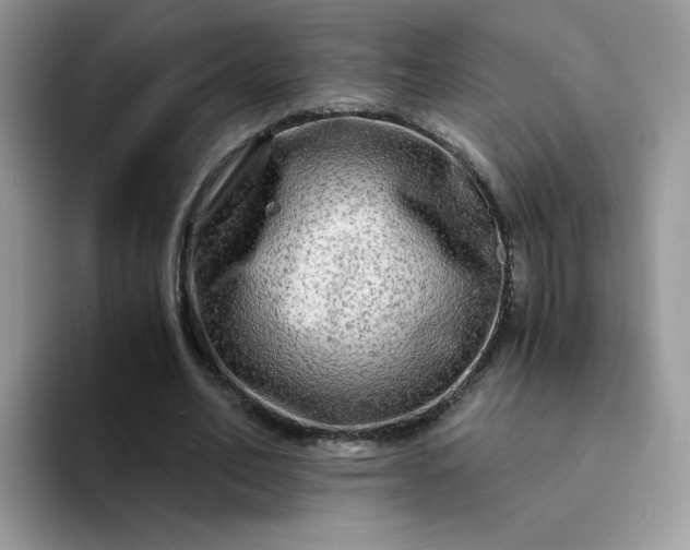 X0000094200582200711091221