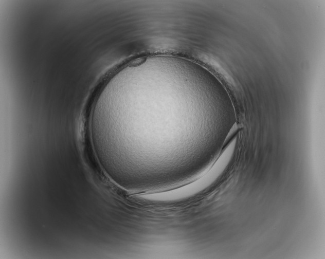 X0000094200583200711091221