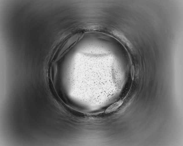 X0000094200585200711091221