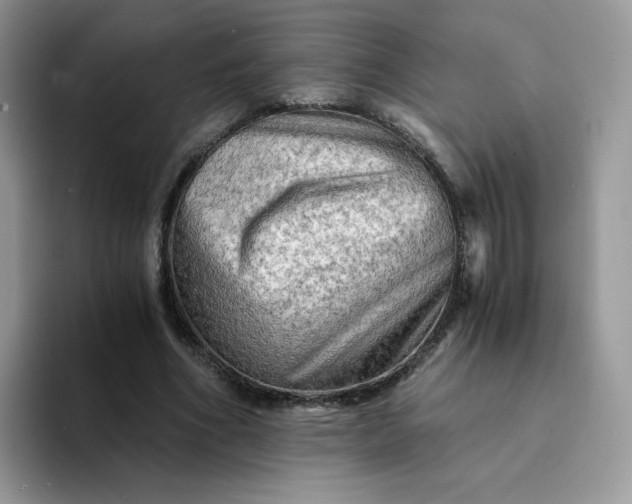 X0000094200586200711091221