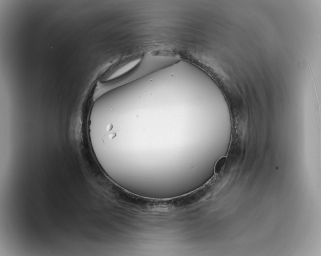 X0000094200587200711091221