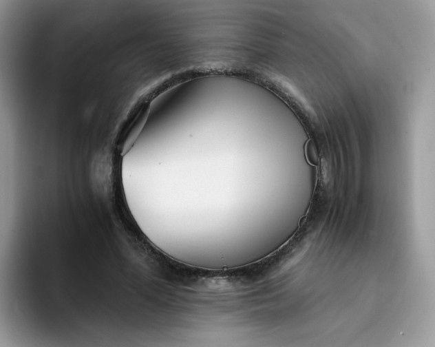 X0000094200588200711091220