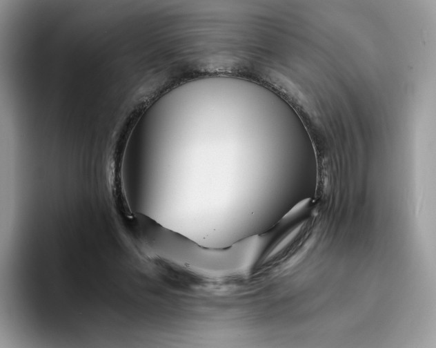 X0000094200589200711091220