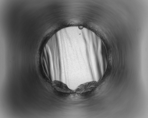 X0000094200591200711091220