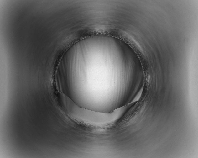 X0000094200593200711091220