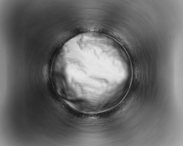 X0000094200594200711091220