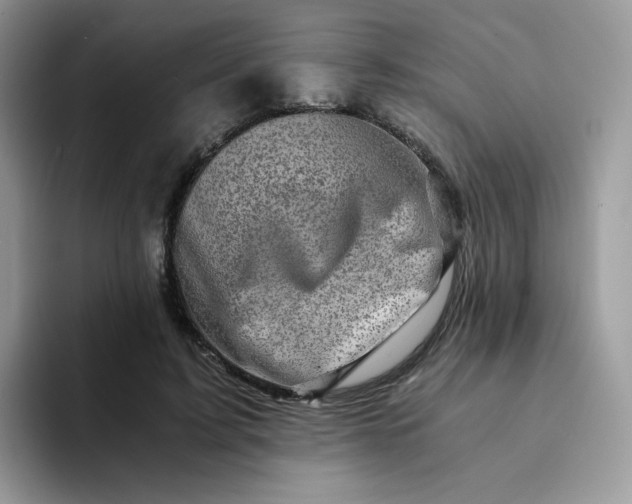 X0000094200595200711091220