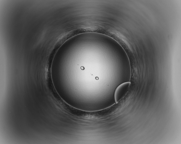 X0000094200596200711091220