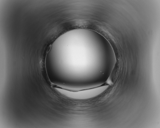 X0000094200597200711091220