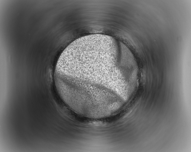 X0000094200598200711091220