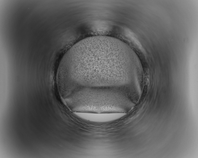 X0000094200599200711091220